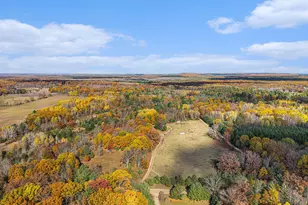 15778 Peters Farm Rd, Irons, MI 49644 - Photo 51