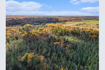 15778 Peters Farm Road, Irons, MI 49644 - Photo 55