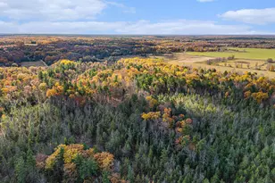 15778 Peters Farm Rd, Irons, MI 49644 - Photo 55