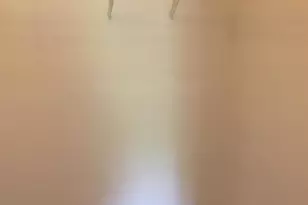 20209 Chesapeake Cir, Walled Lake, MI 48390 - Photo 17