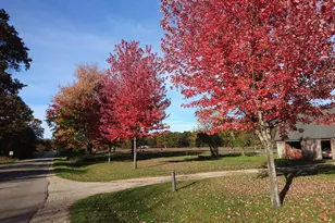 640 Oak Ave, White Cloud, MI 49349 - Photo 45