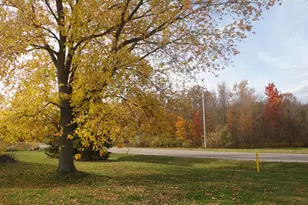 5994 136th Ave, Holland, MI 49423 - Photo 41