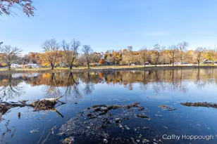 420 Riverside Dr, Portland, MI 48875 - Photo 73