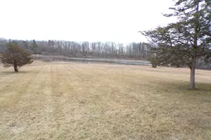 5251 Hudson Rd, Osseo, MI 49266 - Photo 5