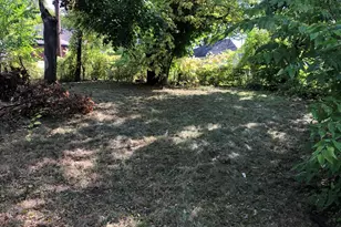 9000 Northlawn St, Detroit, MI 48204 - Photo 7