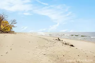 6925 2nd St, Douglas, MI 49406 - Photo 49