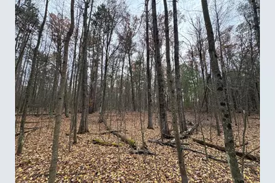 4335 Kings Corner Road, Glennie, MI 48737 - Photo 17