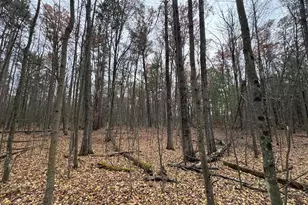 4335 Kings Corner Rd, Glennie, MI 48737 - Photo 17