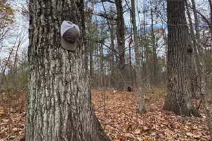 4335 Kings Corner Rd, Glennie, MI 48737 - Photo 41