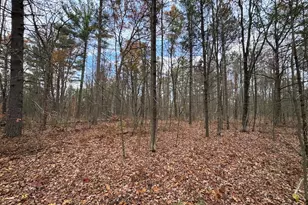 4335 Kings Corner Rd, Glennie, MI 48737 - Photo 27