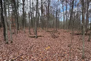 4335 Kings Corner Rd, Glennie, MI 48737 - Photo 21