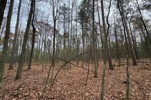 4335 Kings Corner Rd, Glennie, MI 48737 - Photo 19