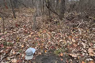 4335 Kings Corner Rd, Glennie, MI 48737 - Photo 31