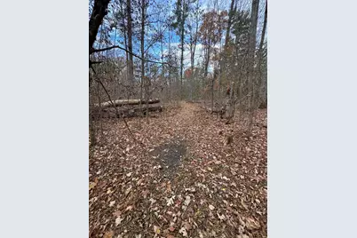 4335 Kings Corner Road, Glennie, MI 48737 - Photo 35