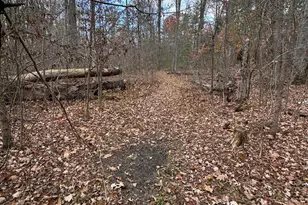 4335 Kings Corner Rd, Glennie, MI 48737 - Photo 35