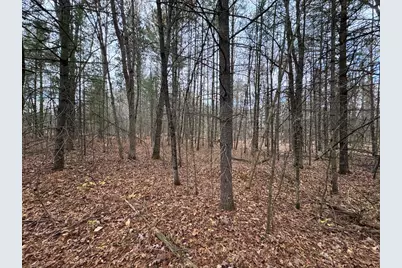 4335 Kings Corner Road, Glennie, MI 48737 - Photo 43