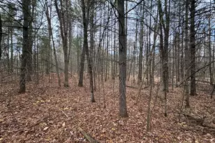 4335 Kings Corner Rd, Glennie, MI 48737 - Photo 43