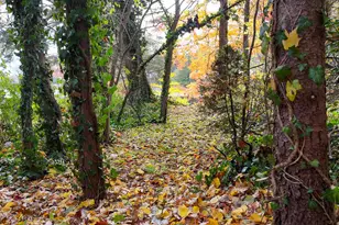 18486 W Spring Lake Rd, Spring Lake, MI 49456 - Photo 43