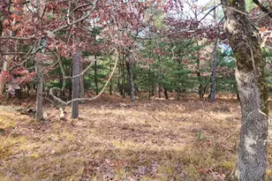 9279 S Forman Rd, Baldwin, MI 49304 - Photo 23