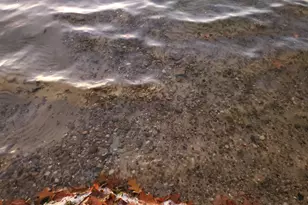 5037 2nd St, Delton, MI 49046 - Photo 51