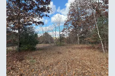 0 W Tamarack Road, Newaygo, MI 49337 - Photo 5