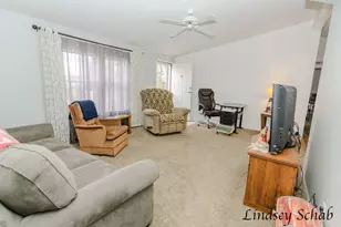 196 E Peck Lake Rd, Ionia, MI 48846 - Photo 11