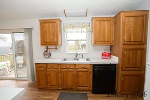 196 E Peck Lake Rd, Ionia, MI 48846 - Photo 21