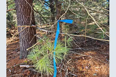 Parcel O Tatanka Trail, Baldwin, MI 49304 - Photo 1