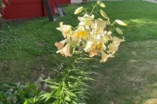 26 Riverview Ave, Battle Creek, MI 49017 - Photo 25