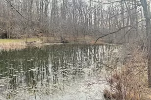 12441 Town Rd, Parma, MI 49269 - Photo 23