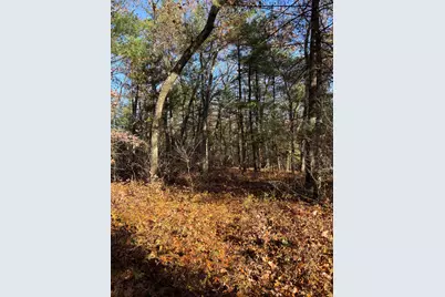 8310 S Thornapple Avenue, Newaygo, MI 49337 - Photo 7