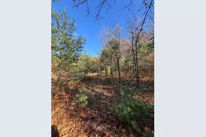 8310 S Thornapple Avenue, Newaygo, MI 49337 - Photo 21