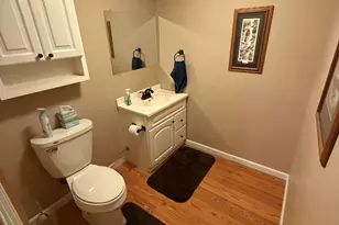 1461 Tasha Dr, Edmore, MI 48829 - Photo 25