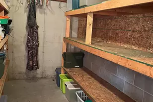 1461 Tasha Dr, Edmore, MI 48829 - Photo 27