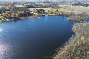 1461 Tasha Dr, Edmore, MI 48829 - Photo 33