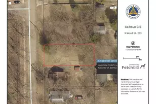 V/L N Wood St, Battle Creek, MI 49037 - Photo 1