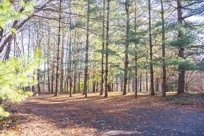 11760 Landon Road, Baroda, MI 49101 - Photo 31