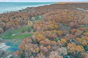 46308 Royal Ave, New Buffalo, MI 49117 - Photo 35