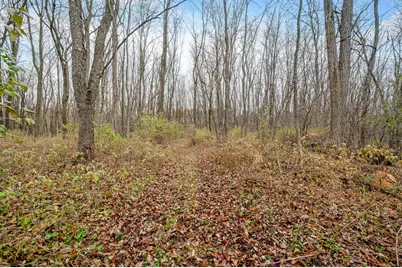 4669 155th Avenue, Hersey, MI 49639 - Photo 39