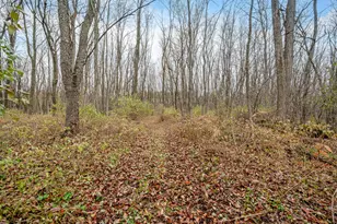 4669 155th Ave, Hersey, MI 49639 - Photo 39