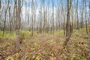 4669 155th Ave, Hersey, MI 49639 - Photo 41