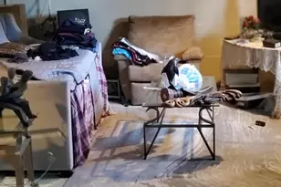 1241 Pipestone Rd, Benton Harbor, MI 49022 - Photo 13