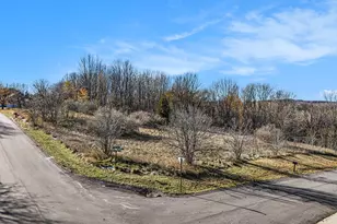 V/L 230 Elliott, Shelby, MI 49455 - Photo 1