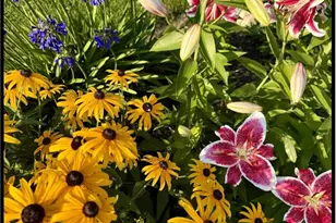 17711 Cobblefield Ln, Spring Lake, MI 49456 - Photo 41