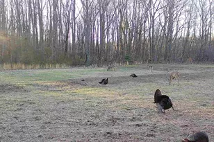 78720 Co Rd 376, Coloma, MI 49038 - Photo 77