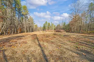 78720 Co Rd 376, Coloma, MI 49038 - Photo 47