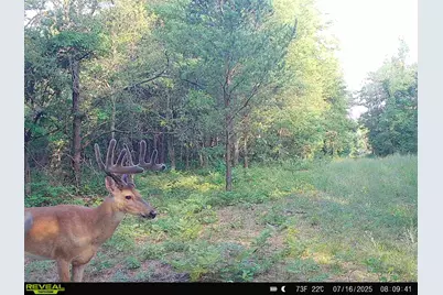 78720 County Road 376, Coloma, MI 49038 - Photo 63