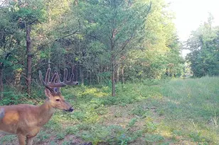 78720 Co Rd 376, Coloma, MI 49038 - Photo 63