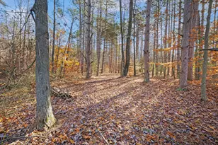 78720 Co Rd 376, Coloma, MI 49038 - Photo 51