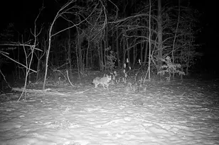 78720 Co Rd 376, Coloma, MI 49038 - Photo 79